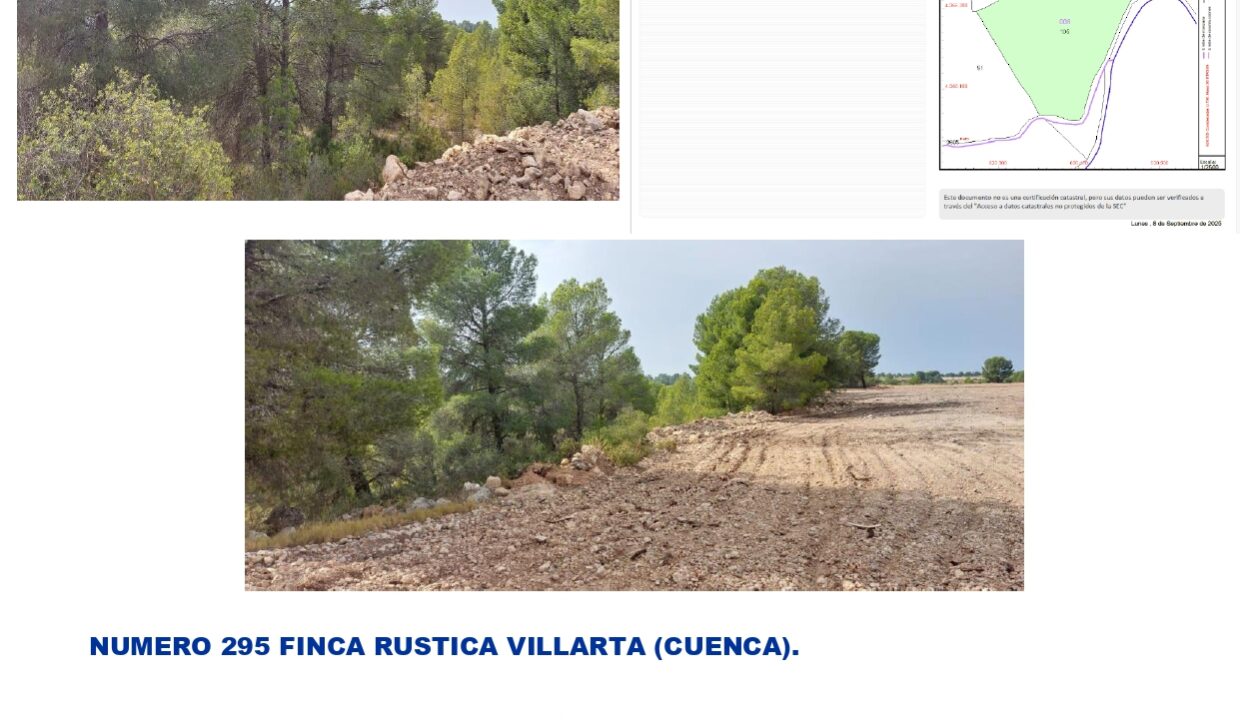FINCA RUSTICA VILLARTA 295_page-0001